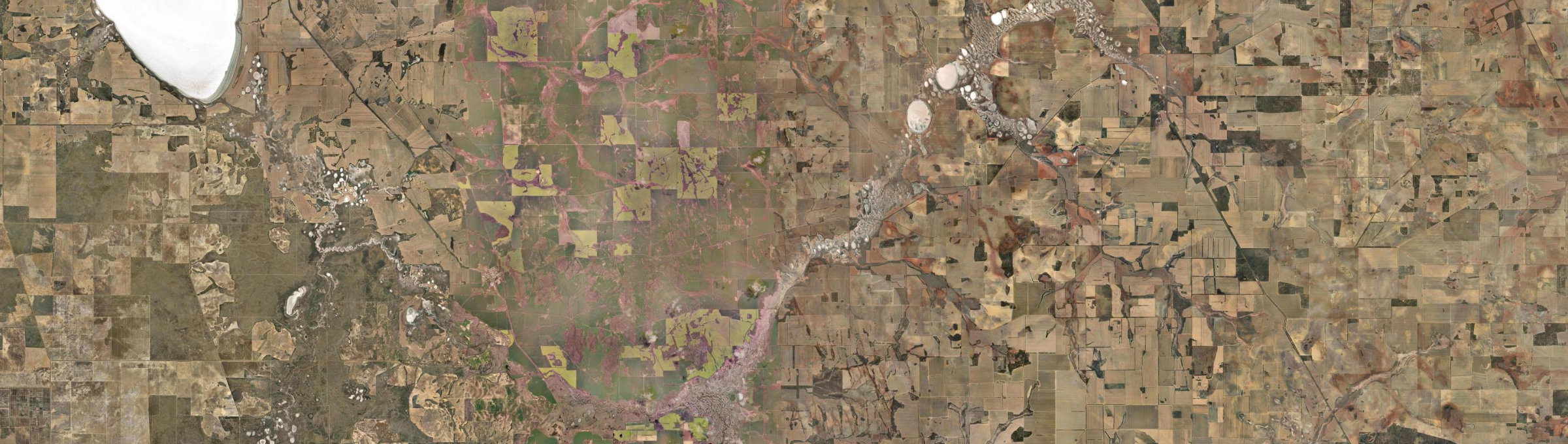 Aerial view of Waddy Forest, WA