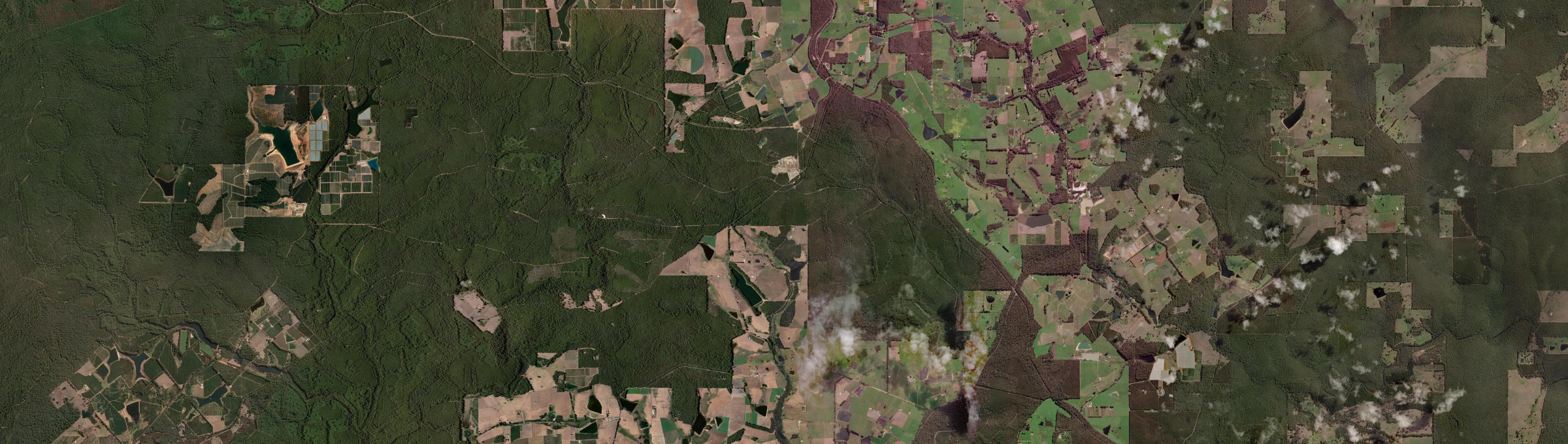 Aerial view of Diamond Tree, WA