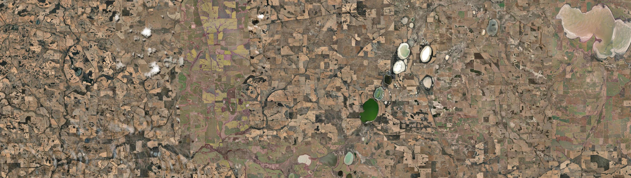 Aerial view of Wedgecarrup, WA