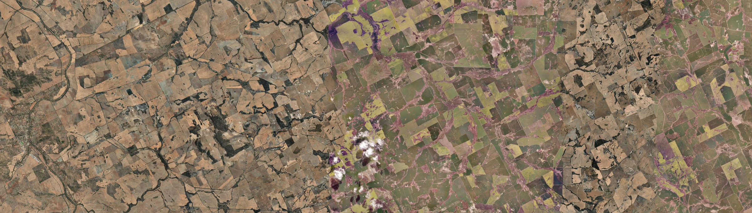 Aerial view of Narraloggan, WA