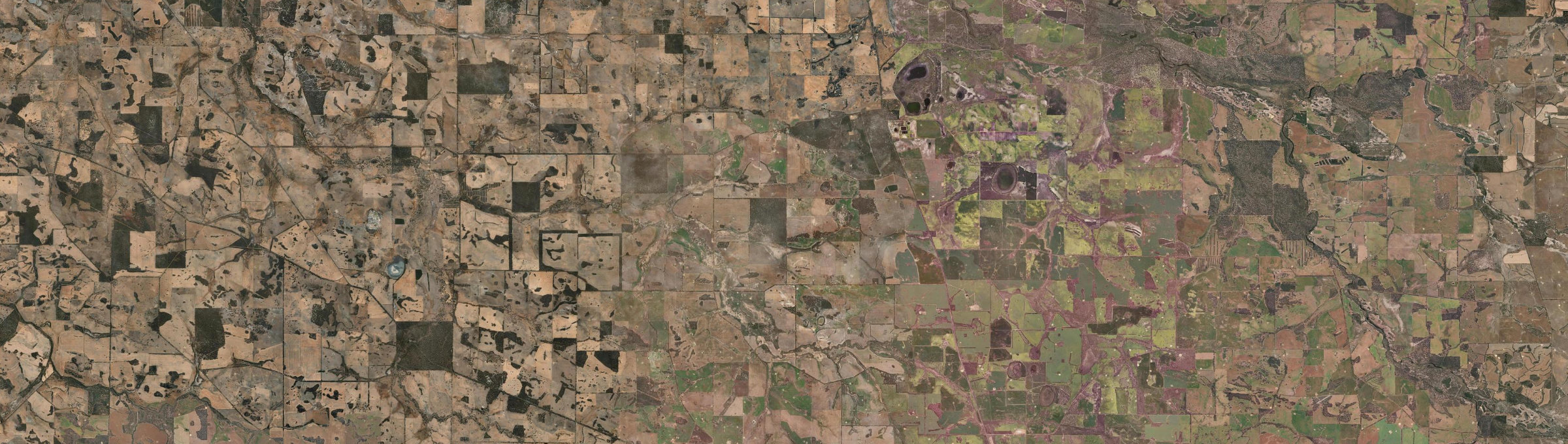 Aerial view of Boscabel, WA