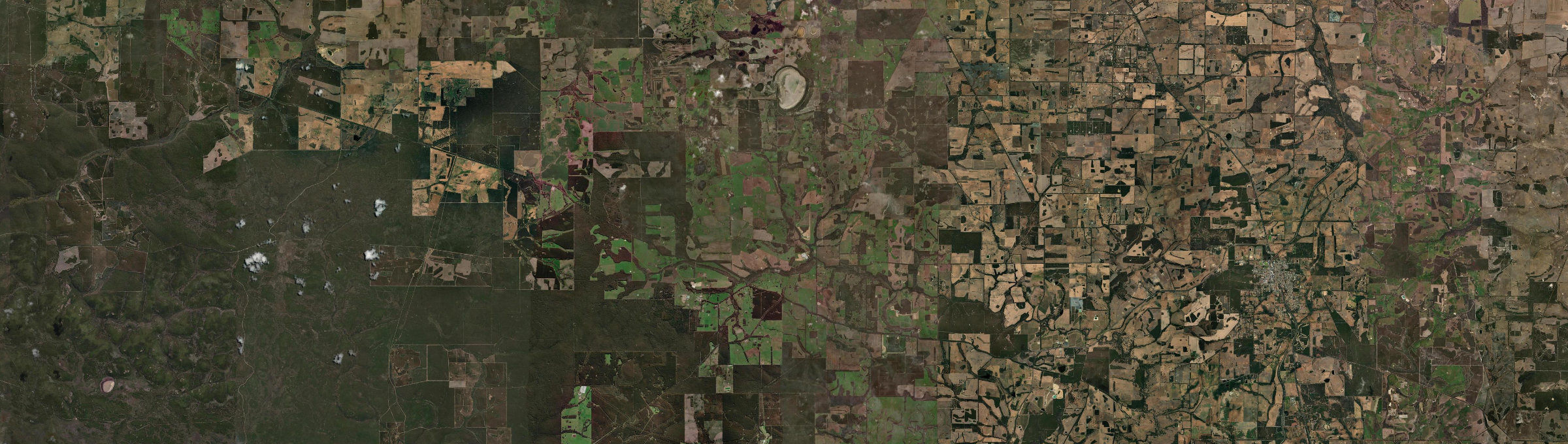 Aerial view of Forest Hill (WA), WA