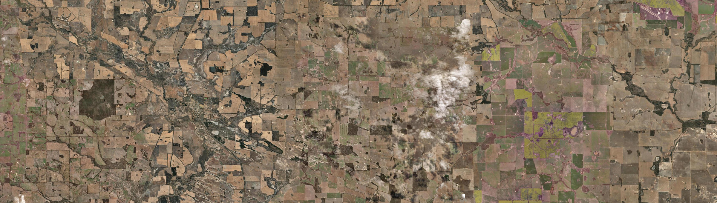 Aerial view of Dartnall, WA