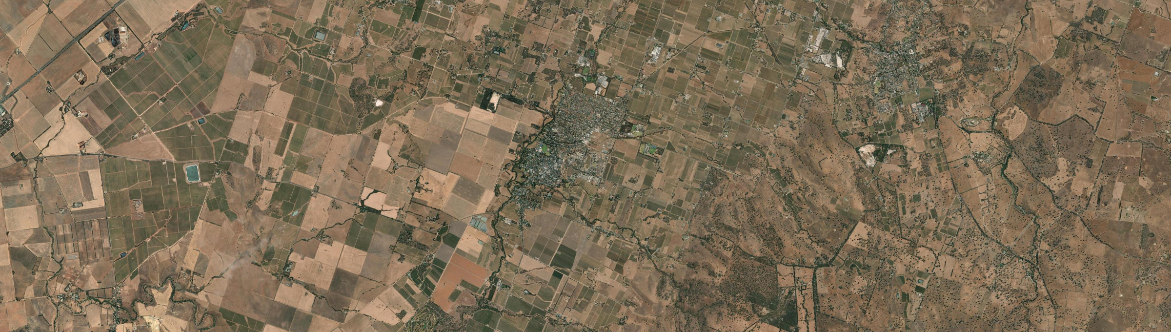 Aerial view of Tanunda, SA