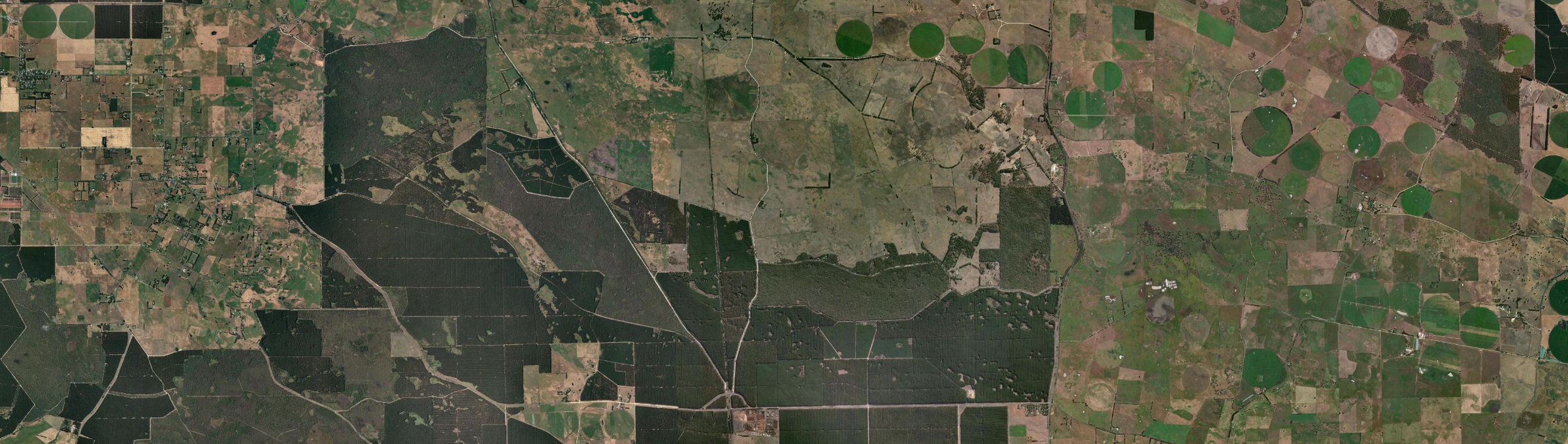 Aerial view of Dismal Swamp, SA
