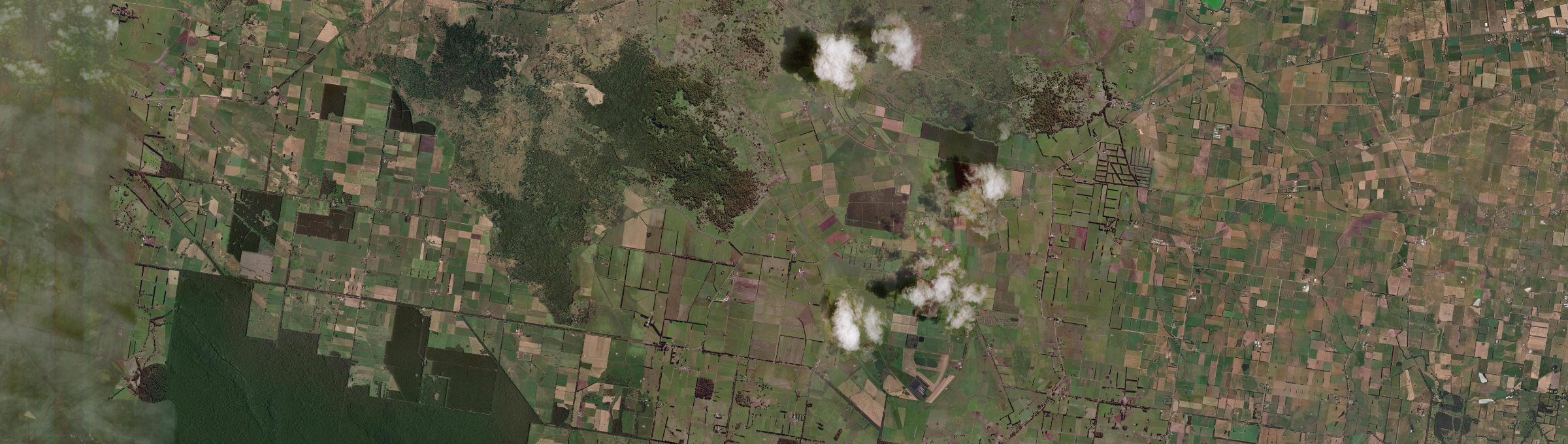 Aerial view of Swan Marsh, VIC