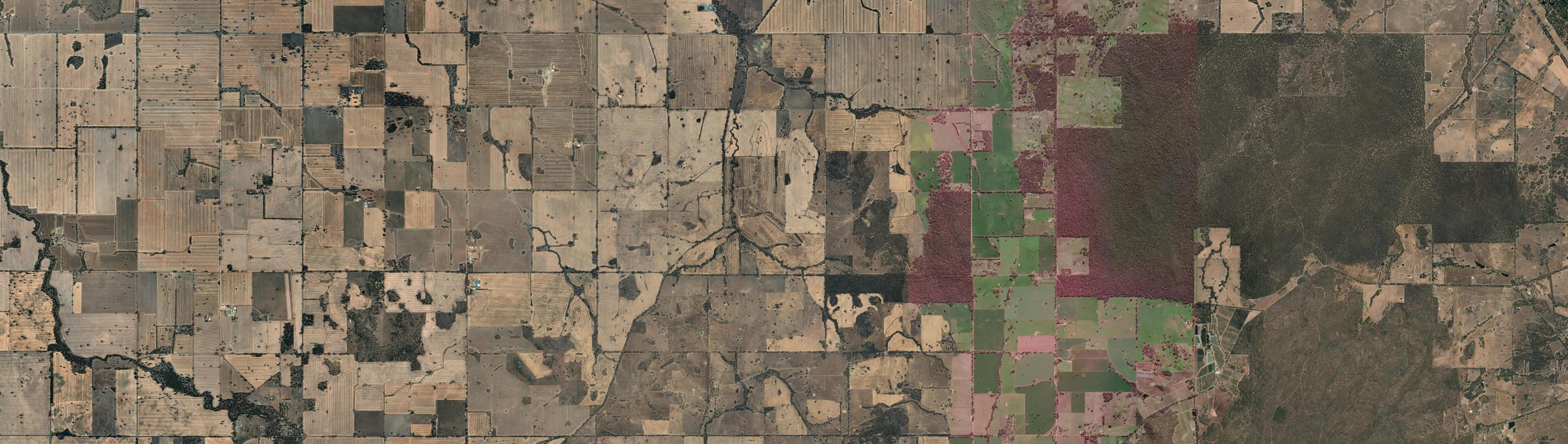 Aerial view of Almonds, VIC
