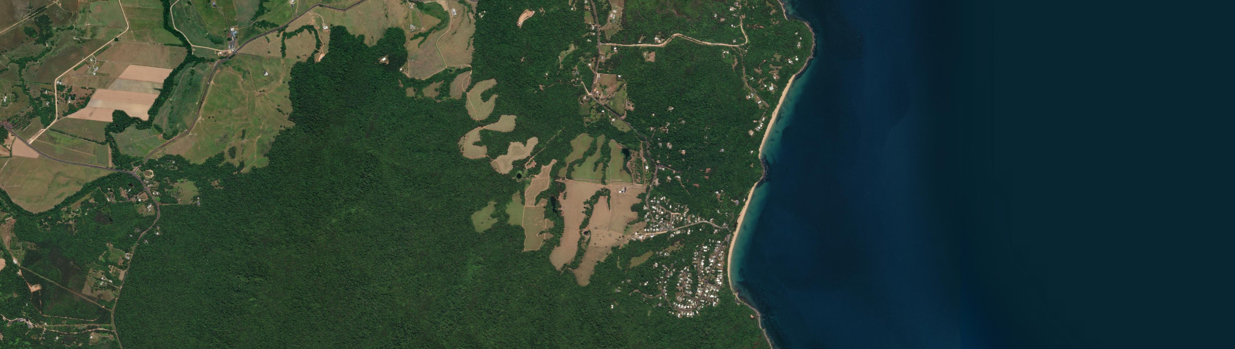 Aerial view of Bingil Bay, QLD