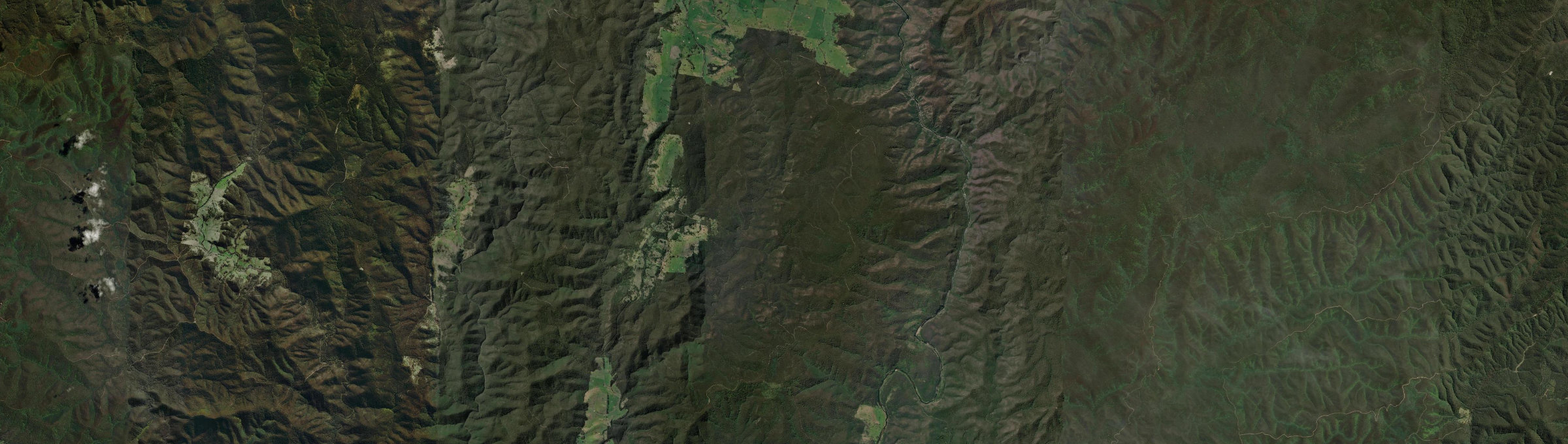 Aerial view of W Tree, VIC
