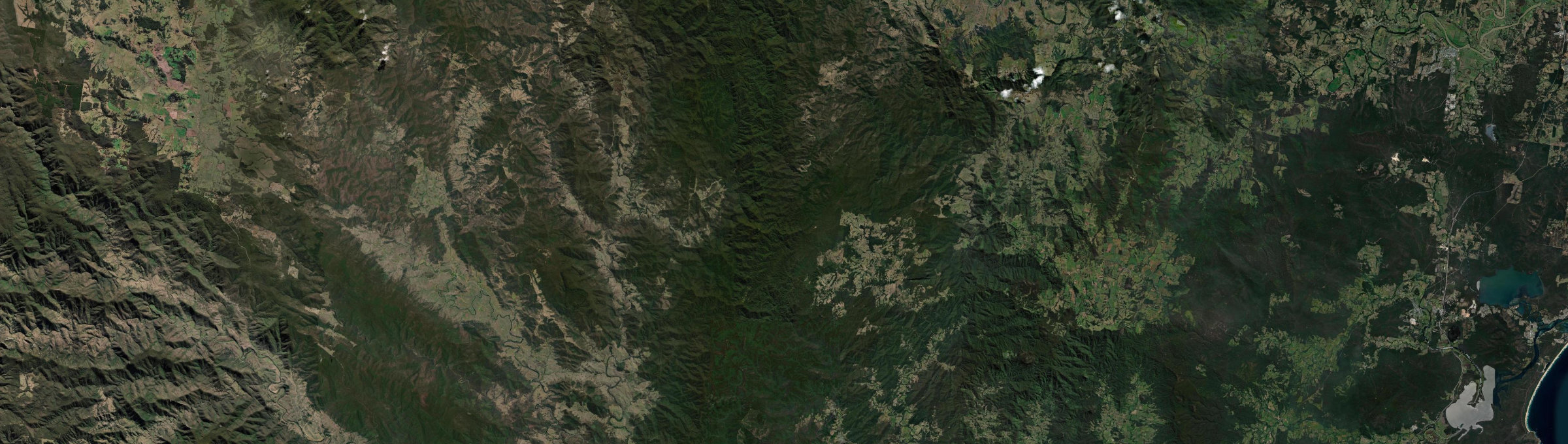 Aerial view of Bulga Forest, NSW