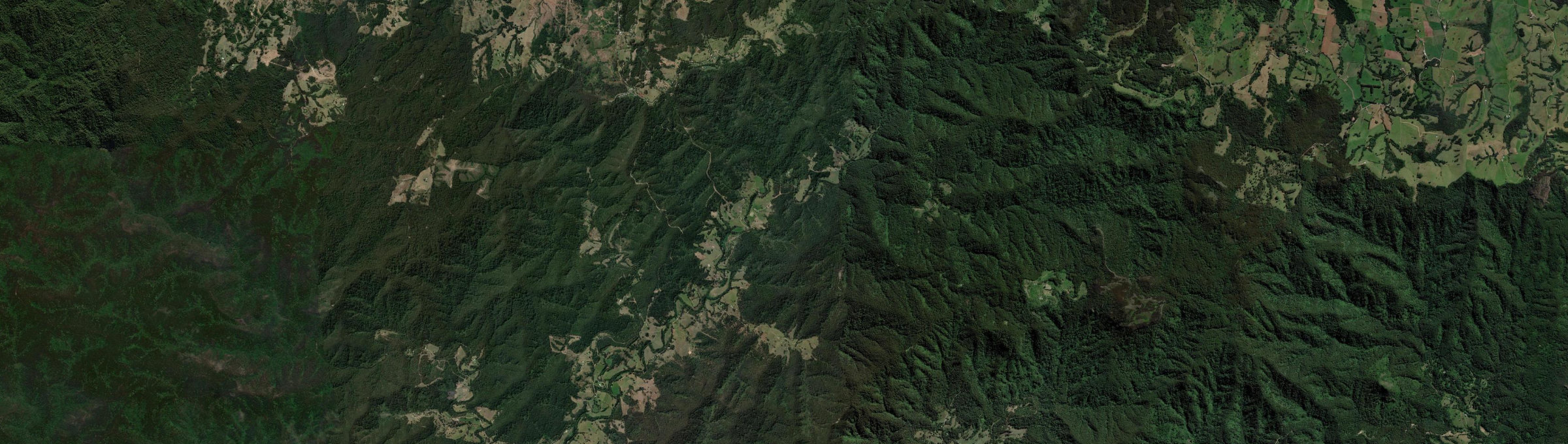 Aerial view of Kippaxs, NSW