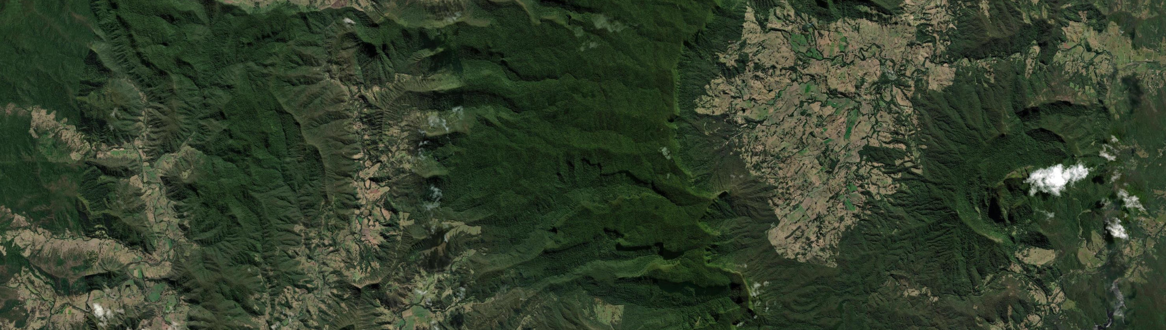 Aerial view of Border Ranges, NSW