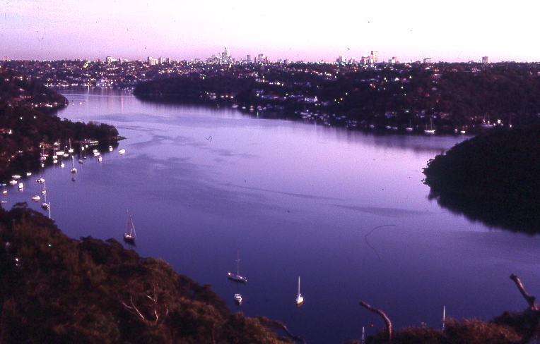 Seaforth, NSW, Harbour view with moored boats and Sydney skyline