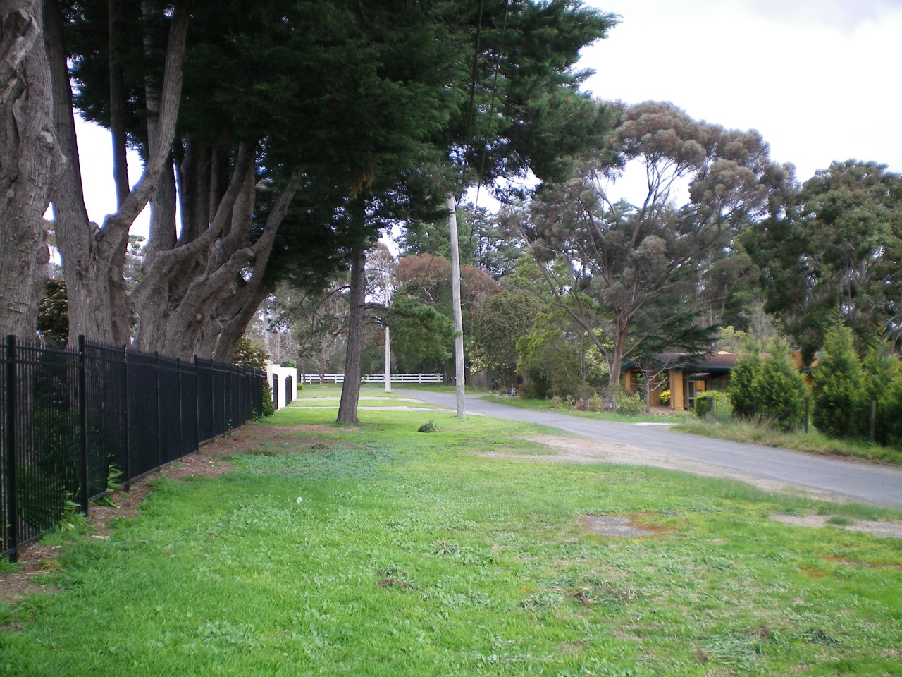 Templestowe, VIC, Tree-lined pathway beside a residential street